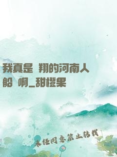 我真是飛翔的河南人號船長啊