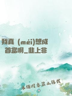 我真沒(méi)想成為首富啊