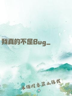 我真的不是Bug