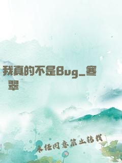 我真的不是Bug