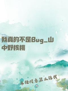 我真的不是Bug