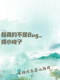 我真的不是Bug