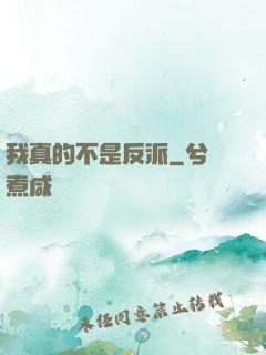 我真的不是反派