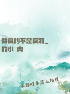 我真的不是反派