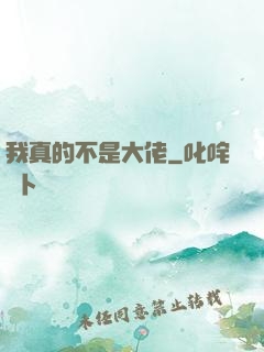 我真的不是大佬
