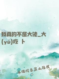 我真的不是大佬