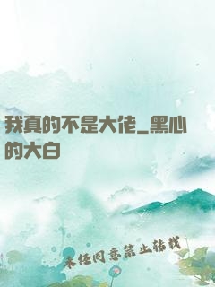 我真的不是大佬