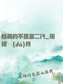 我真的不是富二代