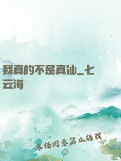 我真的不是真仙