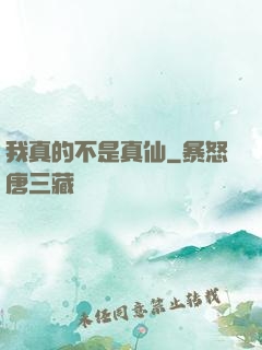 我真的不是真仙