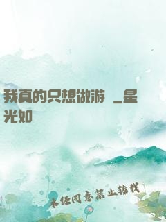 我真的只想做游戲