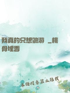 我真的只想做游戲