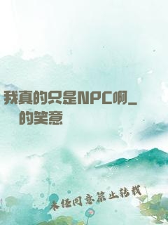 我真的只是NPC啊