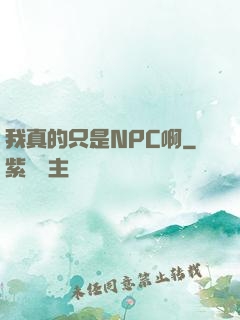 我真的只是NPC啊