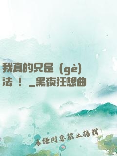 我真的只是個(gè)法師！