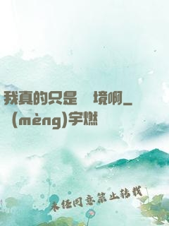 我真的只是煉氣境啊
