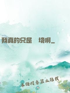 我真的只是煉氣境啊