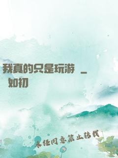 我真的只是玩游戲