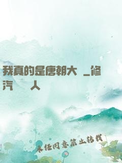 我真的是唐朝大將