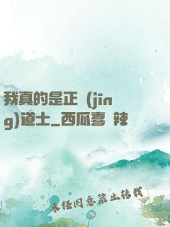 我真的是正經(jīng)道士