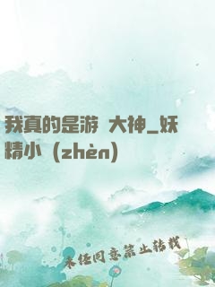 我真的是游戲大神