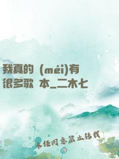 我真的沒(méi)有很多歌詞本
