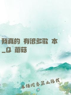 我真的沒有很多歌詞本