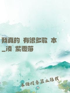 我真的沒有很多歌詞本