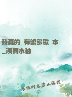 我真的沒有很多歌詞本