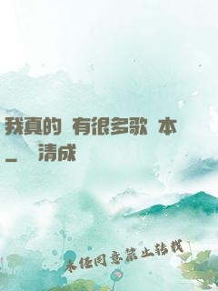 我真的沒有很多歌詞本