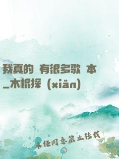 我真的沒有很多歌詞本