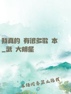 我真的沒有很多歌詞本