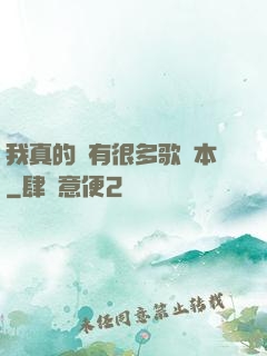 我真的沒有很多歌詞本