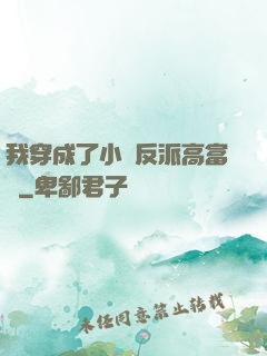 我穿成了小說反派高富帥