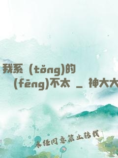 我系統(tǒng)的畫風(fēng)不太對