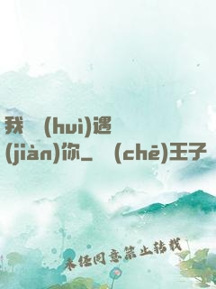 我終會(huì)遇見(jiàn)你