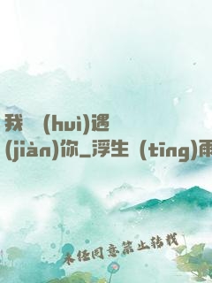 我終會(huì)遇見(jiàn)你