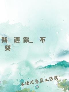 我終會遇見你