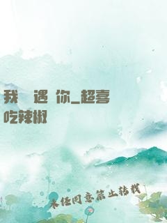 我終會遇見你