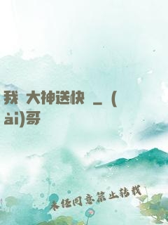 我給大神送快遞
