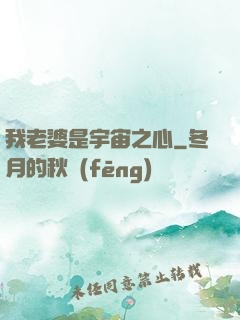 我老婆是宇宙之心