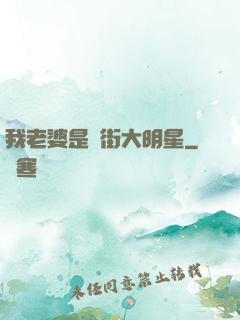 我老婆是撲街大明星