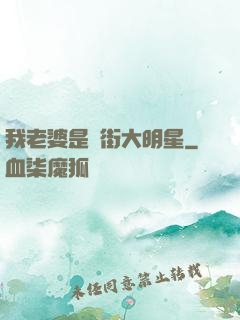 我老婆是撲街大明星