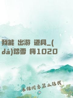 我能帶出游戲道具