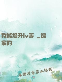 我能提升lv等級