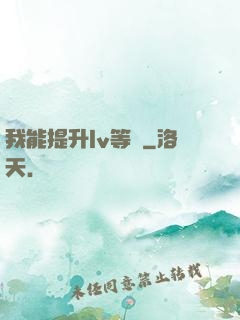 我能提升lv等級