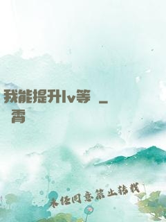 我能提升lv等級