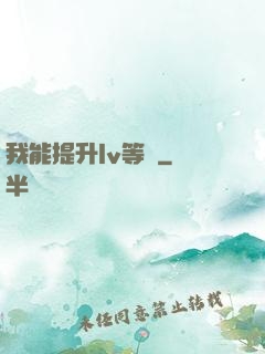 我能提升lv等級