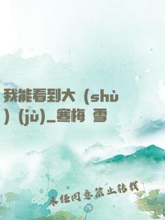 我能看到大數(shù)據(jù)