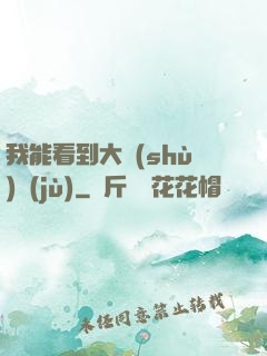 我能看到大數(shù)據(jù)